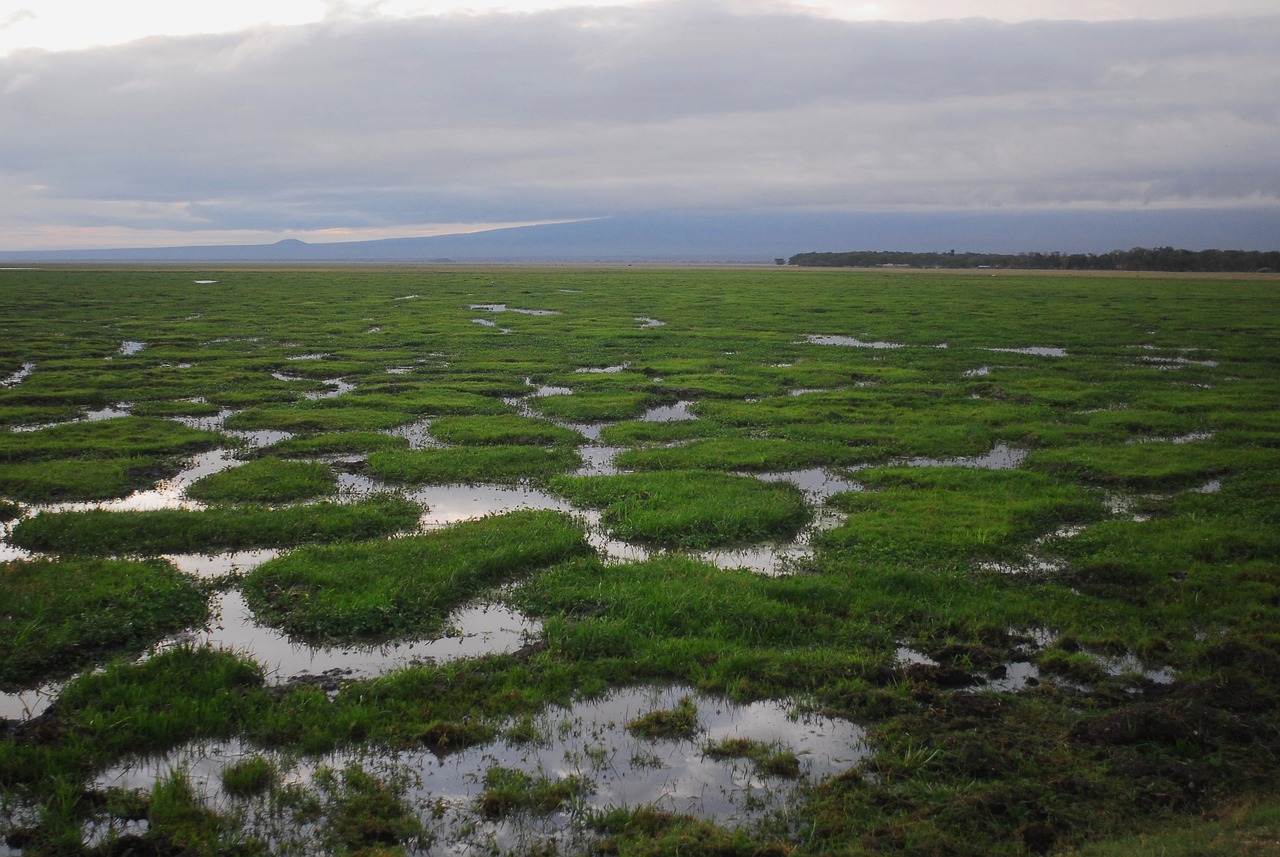 Climate Change and Public Health: What's the Connection?